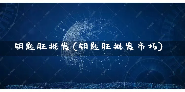 钥匙胚批发(钥匙胚批发市场)_https://www.rzcpcj.com_代运营_第1张