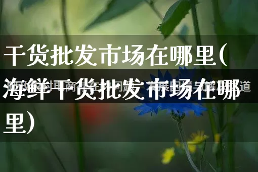 干货批发市场在哪里(海鲜干货批发市场在哪里)_https://www.rzcpcj.com_淘宝运营_第1张