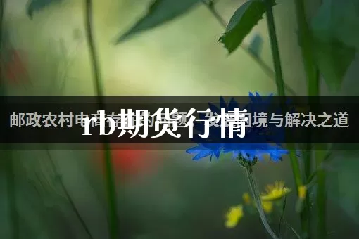 rb期货行情_https://www.rzcpcj.com_天猫运营_第1张