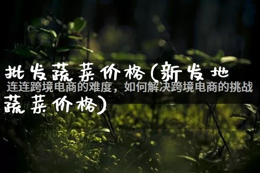 批发蔬菜价格(新发地蔬菜价格)_https://www.rzcpcj.com_淘宝运营_第1张