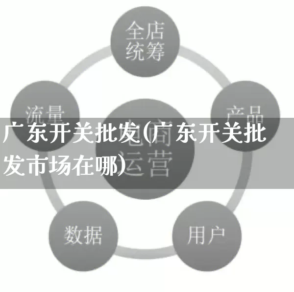广东开关批发(广东开关批发市场在哪)_https://www.rzcpcj.com_直通车_第1张