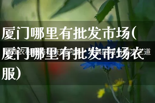 厦门哪里有批发市场(厦门哪里有批发市场衣服)_https://www.rzcpcj.com_直通车_第1张