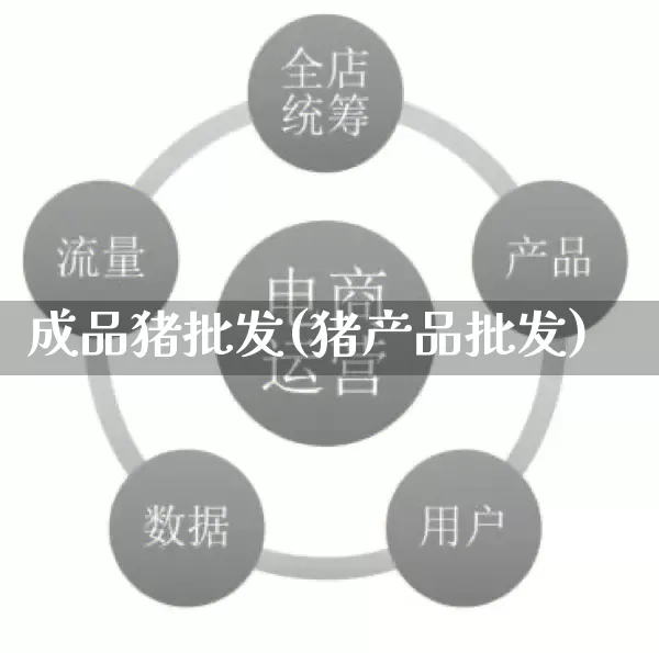 成品猪批发(猪产品批发)_https://www.rzcpcj.com_淘宝运营_第1张