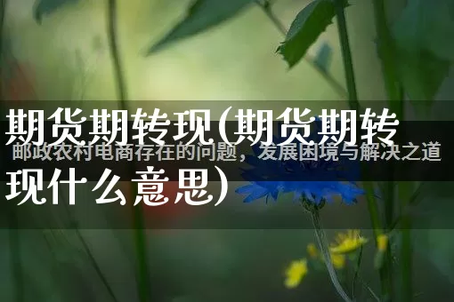 期货期转现(期货期转现什么意思)_https://www.rzcpcj.com_开网店_第1张