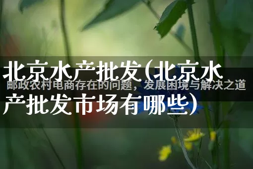 北京水产批发(北京水产批发市场有哪些)_https://www.rzcpcj.com_代运营_第1张