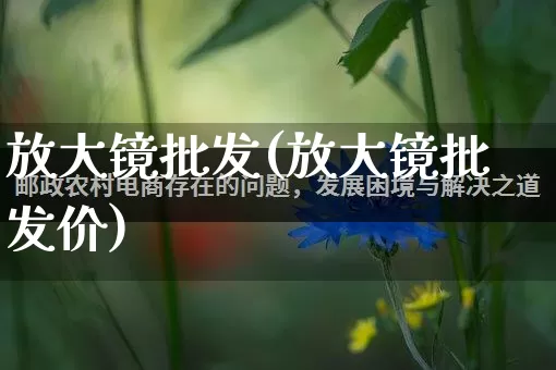 放大镜批发(放大镜批发价)_https://www.rzcpcj.com_直通车_第1张