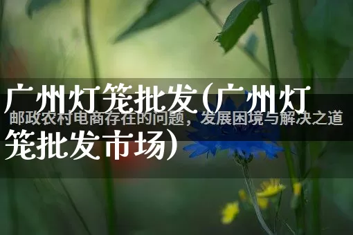 广州灯笼批发(广州灯笼批发市场)_https://www.rzcpcj.com_代运营_第1张