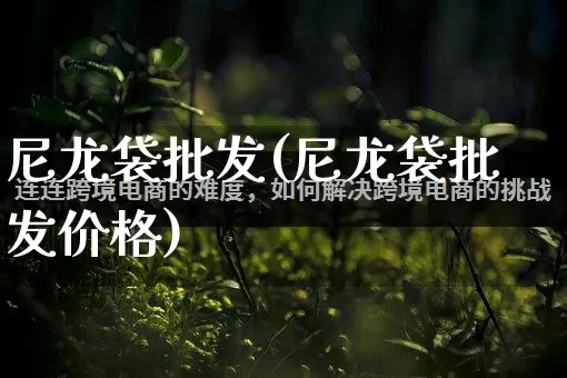 尼龙袋批发(尼龙袋批发价格)_直通车_第1张_电商运营网 尼龙袋批发(尼龙袋批发价格)_https://www.rzcpcj.com_直通车_第1张