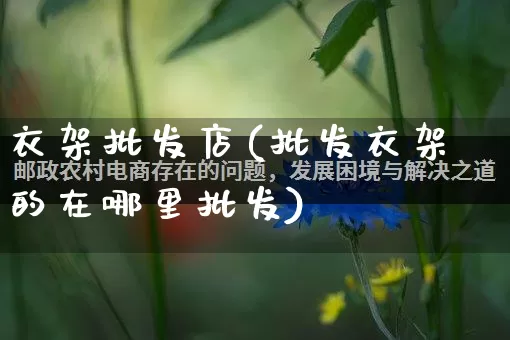 衣架批发店(批发衣架的在哪里批发)_https://www.rzcpcj.com_开网店_第1张