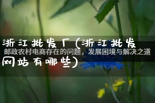 浙江批发厂(浙江批发网站有哪些)_https://www.rzcpcj.com_代运营_第1张