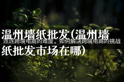 温州墙纸批发(温州墙纸批发市场在哪)_https://www.rzcpcj.com_淘宝运营_第1张