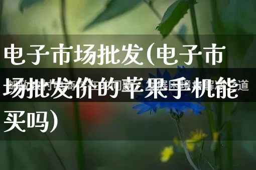 电子市场批发(电子市场批发价的苹果手机能买吗)_https://www.rzcpcj.com_代运营_第1张