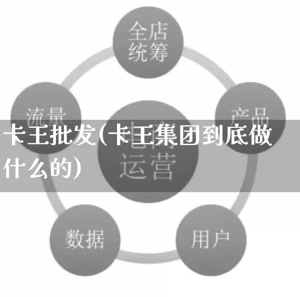 卡王批发(卡王集团到底做什么的)_https://www.rzcpcj.com_开网店_第1张