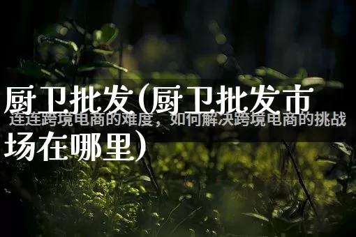 厨卫批发(厨卫批发市场在哪里)_https://www.rzcpcj.com_抖音快手_第1张
