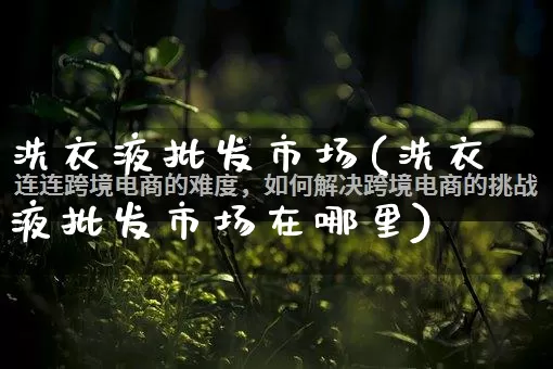 洗衣液批发市场(洗衣液批发市场在哪里)_https://www.rzcpcj.com_开网店_第1张