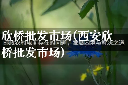 欣桥批发市场(西安欣桥批发市场)_https://www.rzcpcj.com_天猫运营_第1张