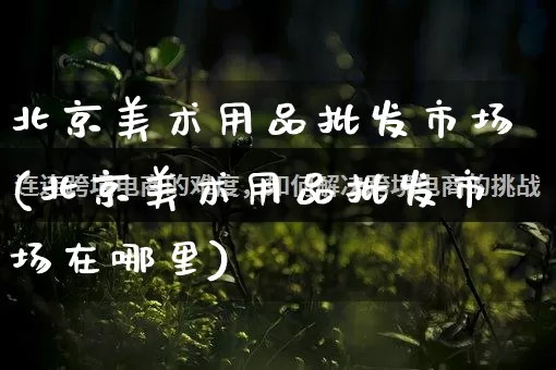 北京美术用品批发市场(北京美术用品批发市场在哪里)_https://www.rzcpcj.com_抖音快手_第1张