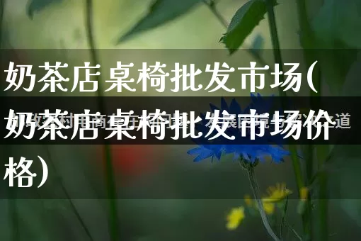 奶茶店桌椅批发市场(奶茶店桌椅批发市场价格)_https://www.rzcpcj.com_代运营_第1张