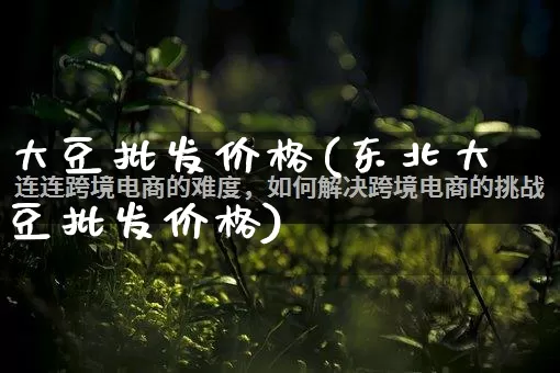 大豆批发价格(东北大豆批发价格)_https://www.rzcpcj.com_直通车_第1张
