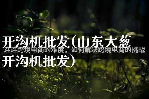 开沟机批发(山东大葱开沟机批发)_https://www.rzcpcj.com_淘宝运营_第1张