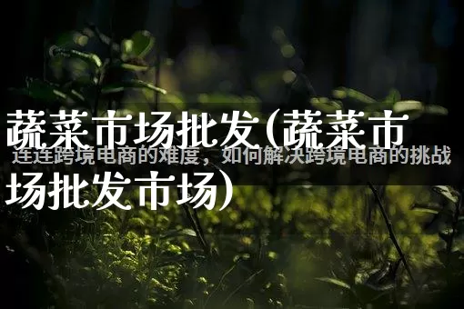 蔬菜市场批发(蔬菜市场批发市场)_https://www.rzcpcj.com_直通车_第1张