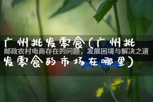广州批发零食(广州批发零食的市场在哪里)_https://www.rzcpcj.com_抖音快手_第1张
