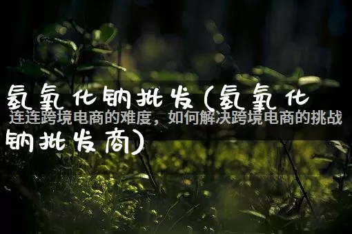 氢氧化钠批发(氢氧化钠批发商)_https://www.rzcpcj.com_直通车_第1张
