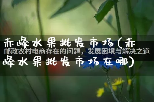 赤峰水果批发市场(赤峰水果批发市场在哪)_https://www.rzcpcj.com_直通车_第1张