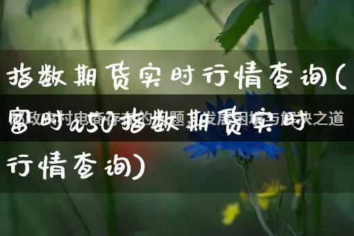 指数期货实时行情查询(富时a50指数期货实时行情查询)_https://www.rzcpcj.com_淘宝运营_第1张