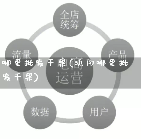 哪里批发干果(沈阳哪里批发干果)_https://www.rzcpcj.com_淘宝运营_第1张