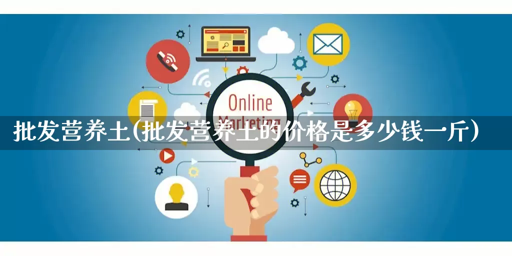批发营养土(批发营养土的价格是多少钱一斤)_https://www.rzcpcj.com_开网店_第1张