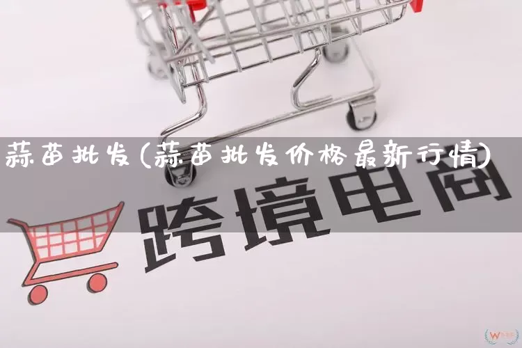 蒜苗批发(蒜苗批发价格最新行情)_https://www.rzcpcj.com_代运营_第1张
