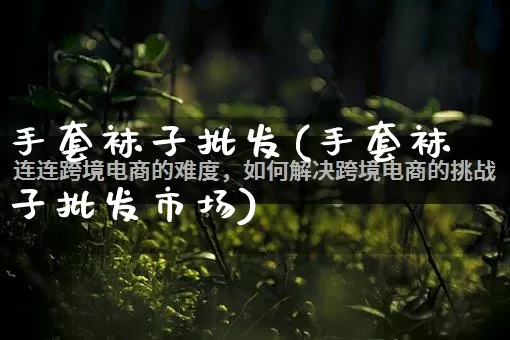 手套袜子批发(手套袜子批发市场)_https://www.rzcpcj.com_淘宝运营_第1张