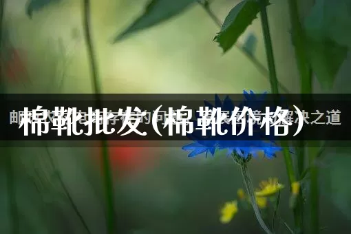 棉靴批发(棉靴价格)_https://www.rzcpcj.com_直通车_第1张