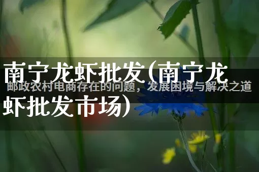 南宁龙虾批发(南宁龙虾批发市场)_https://www.rzcpcj.com_直通车_第1张