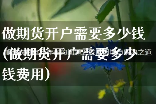 做期货开户需要多少钱(做期货开户需要多少钱费用)_https://www.rzcpcj.com_天猫运营_第1张