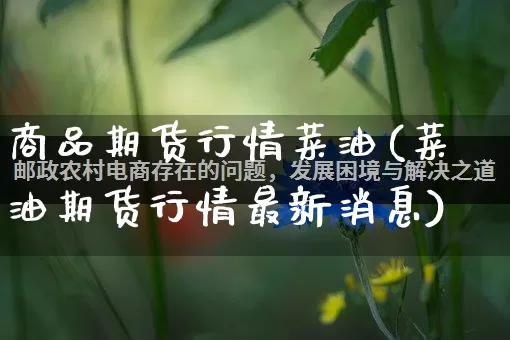 商品期货行情菜油(菜油期货行情最新消息)_https://www.rzcpcj.com_天猫运营_第1张