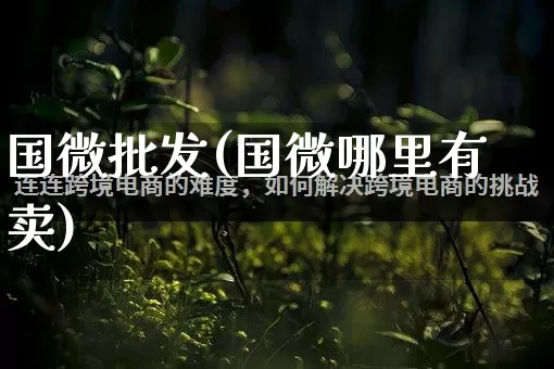 国微批发(国微哪里有卖)_https://www.rzcpcj.com_抖音快手_第1张