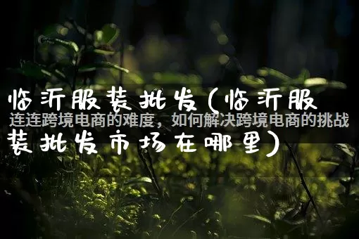 临沂服装批发(临沂服装批发市场在哪里)_https://www.rzcpcj.com_淘宝运营_第1张