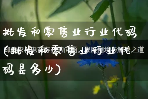 批发和零售业行业代码(批发和零售业行业代码是多少)_https://www.rzcpcj.com_天猫运营_第1张