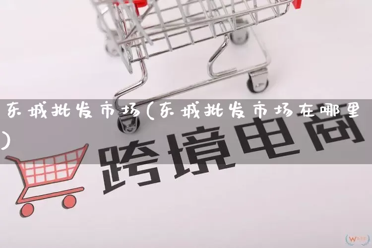 东城批发市场(东城批发市场在哪里)_https://www.rzcpcj.com_抖音快手_第1张