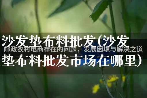 沙发垫布料批发(沙发垫布料批发市场在哪里)_https://www.rzcpcj.com_天猫运营_第1张