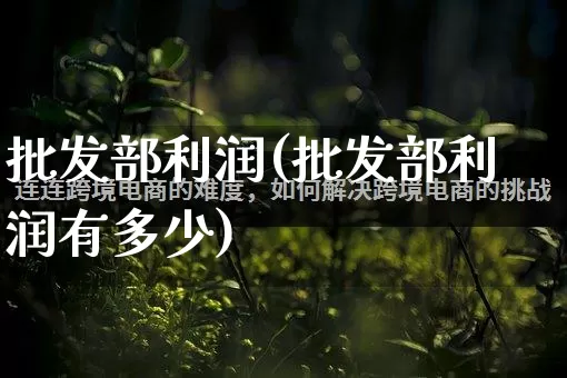 批发部利润(批发部利润有多少)_https://www.rzcpcj.com_代运营_第1张