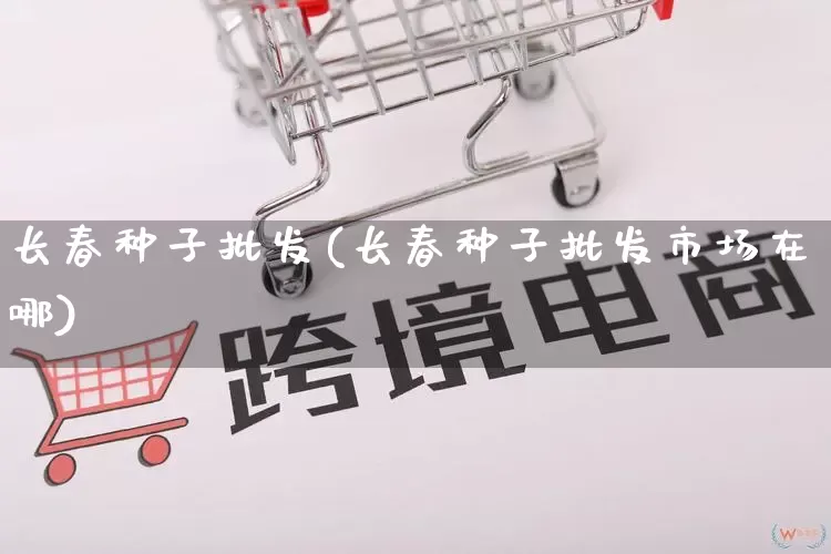 长春种子批发(长春种子批发市场在哪)_https://www.rzcpcj.com_抖音快手_第1张