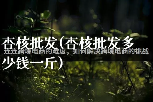 杏核批发(杏核批发多少钱一斤)_https://www.rzcpcj.com_天猫运营_第1张