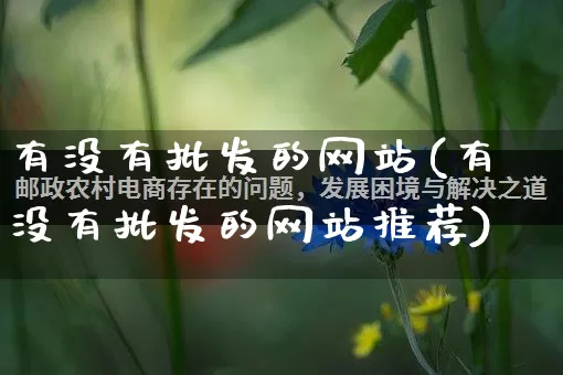 有没有批发的网站(有没有批发的网站推荐)_https://www.rzcpcj.com_抖音快手_第1张