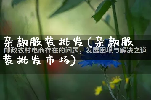 杂款服装批发(杂款服装批发市场)_https://www.rzcpcj.com_开网店_第1张