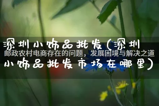 深圳小饰品批发(深圳小饰品批发市场在哪里)_https://www.rzcpcj.com_淘宝运营_第1张