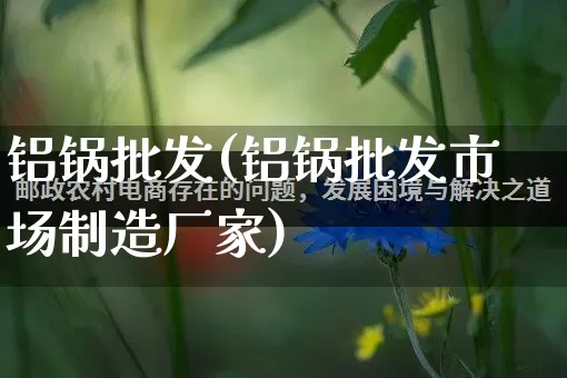 铝锅批发(铝锅批发市场制造厂家)_https://www.rzcpcj.com_淘宝运营_第1张