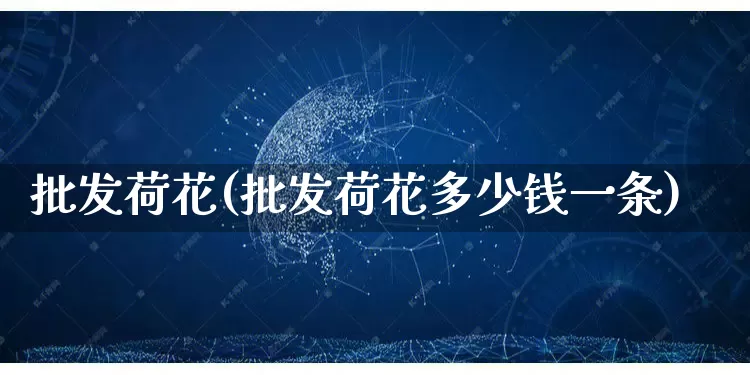 批发荷花(批发荷花多少钱一条)_https://www.rzcpcj.com_抖音快手_第1张